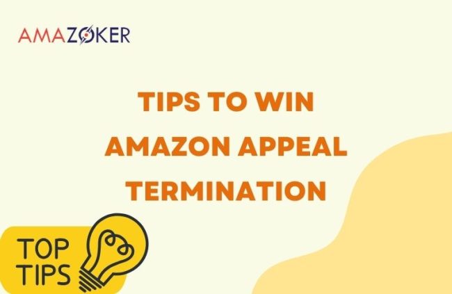 Tips To Win An Amazon Appeal Termination