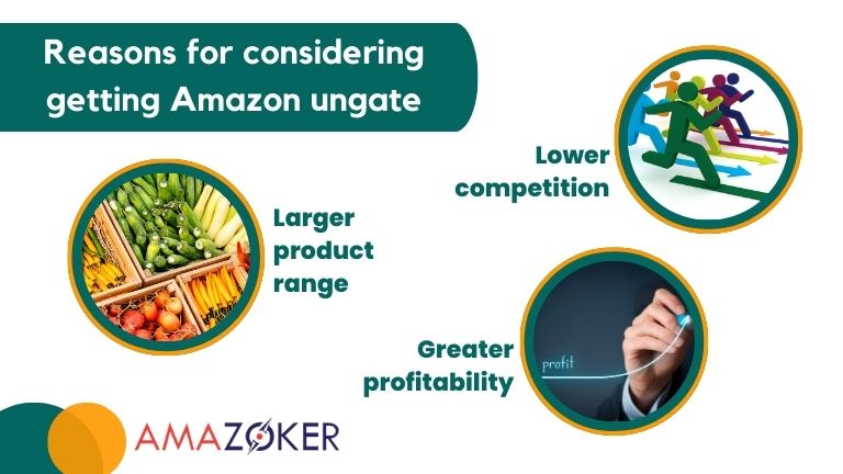 Why Should We Try to Get Ungated on Amazon?