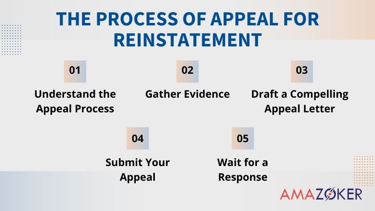 Several steps of the appeal process for reinstatement
